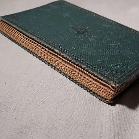 Vintage 1877 A Household Manual by J H Kellogg M D
